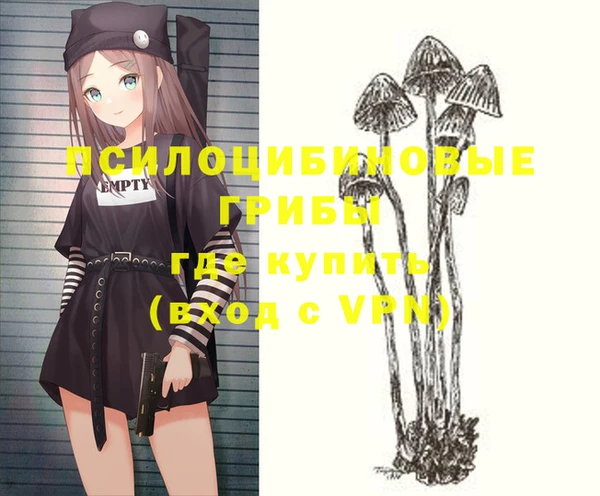 наркотики Белокуриха