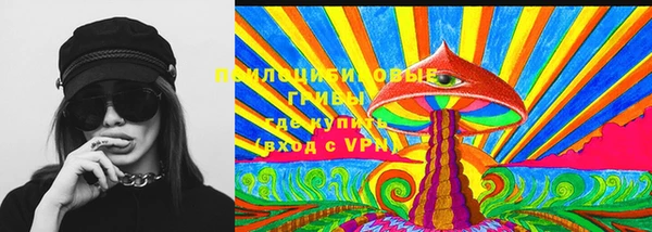 spice Краснослободск