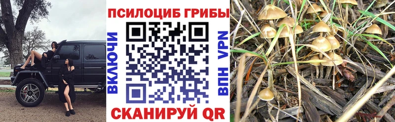 Галлюциногенные грибы ЛСД  Вязники 